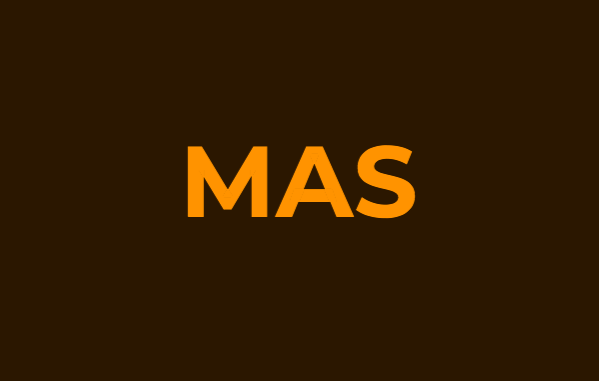 MAS doesn’t trust retail crypto investments, mulling more regulations